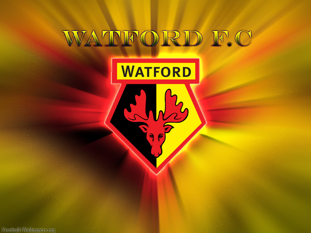 Giới thiệu | Watford Vietnam Fan Club